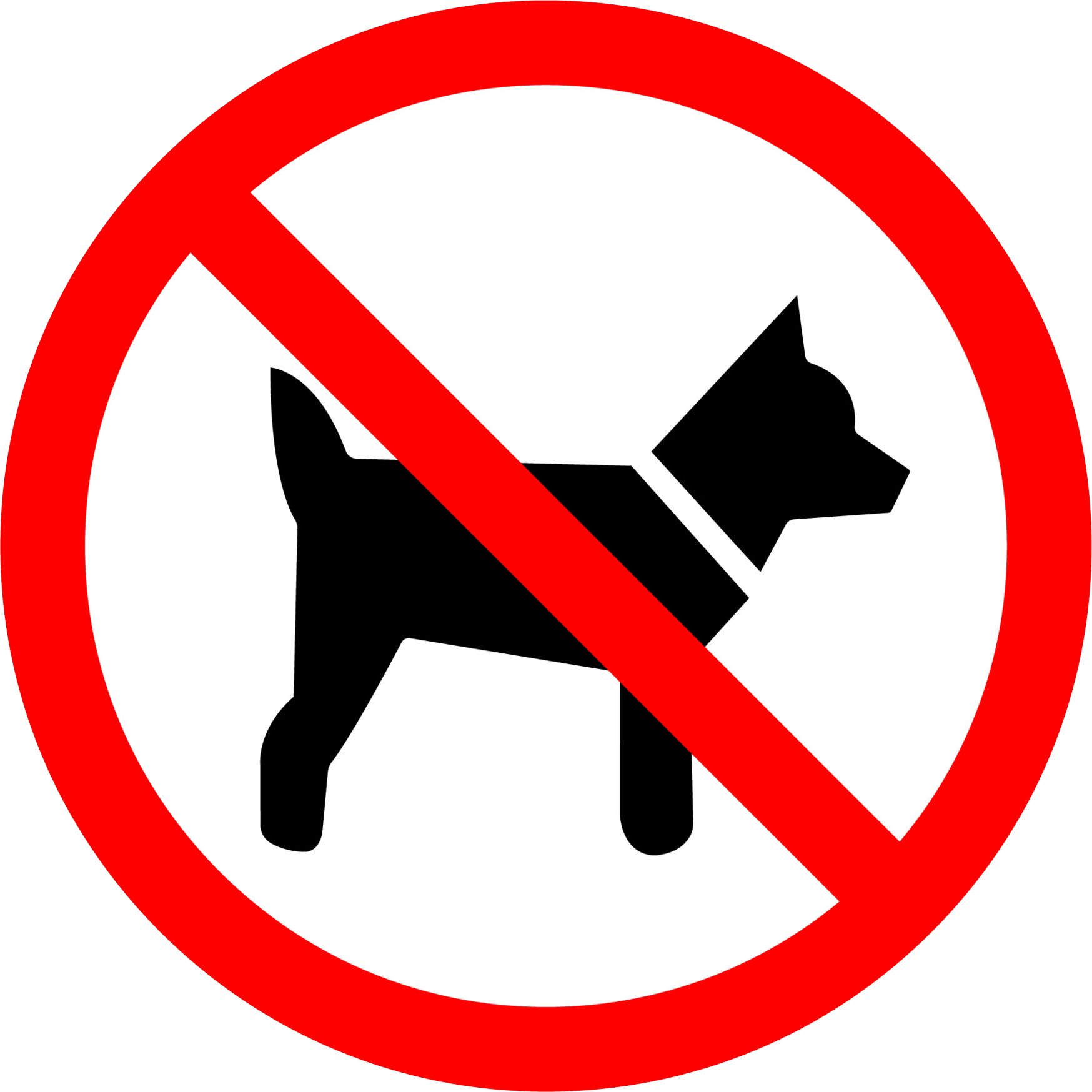 No Dogs Sign No Dogs Sign